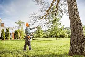 Best Fruit Tree Pruning  in Richwood, LA